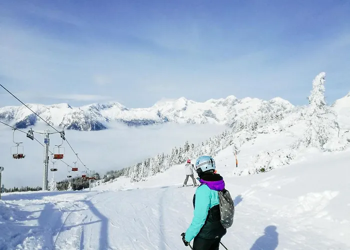 Koca Zafran - Velika Planina Horská chata