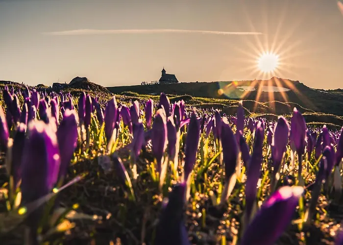 Horská chata Koca Zafran - Velika Planina *