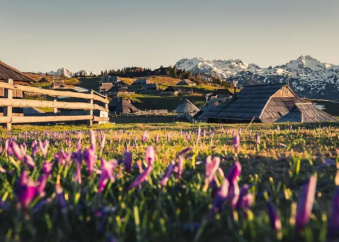 Koca Zafran - Velika Planina * Stahovica