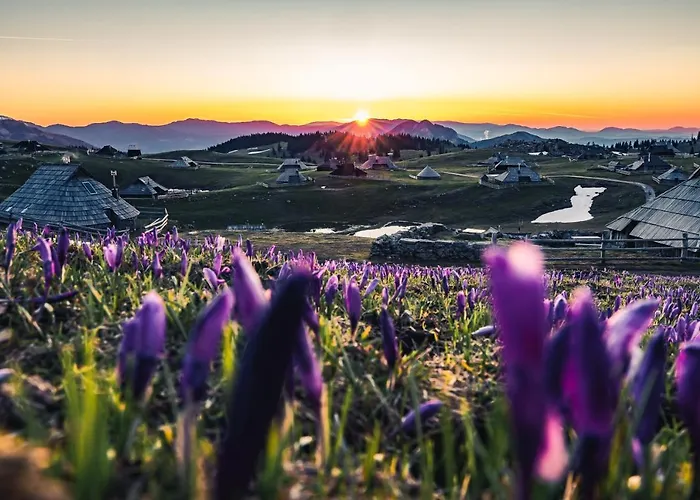 Alpesi faház Koca Zafran - Velika Planina *