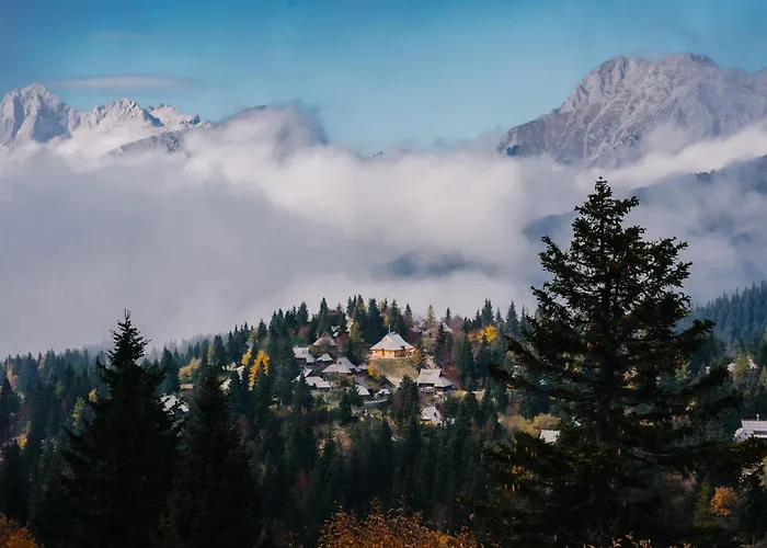Koca Zafran - Velika Planina